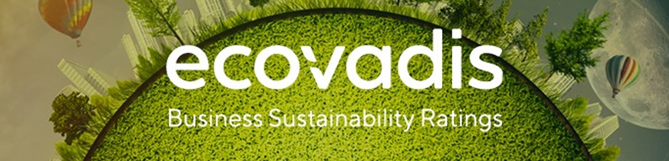 Ecovadis Danışmanı