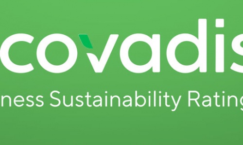 EcoVadis Belgesi ve Danışmanlığı