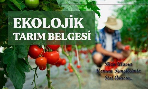 EKOLOJİK TARIM BELGESİ