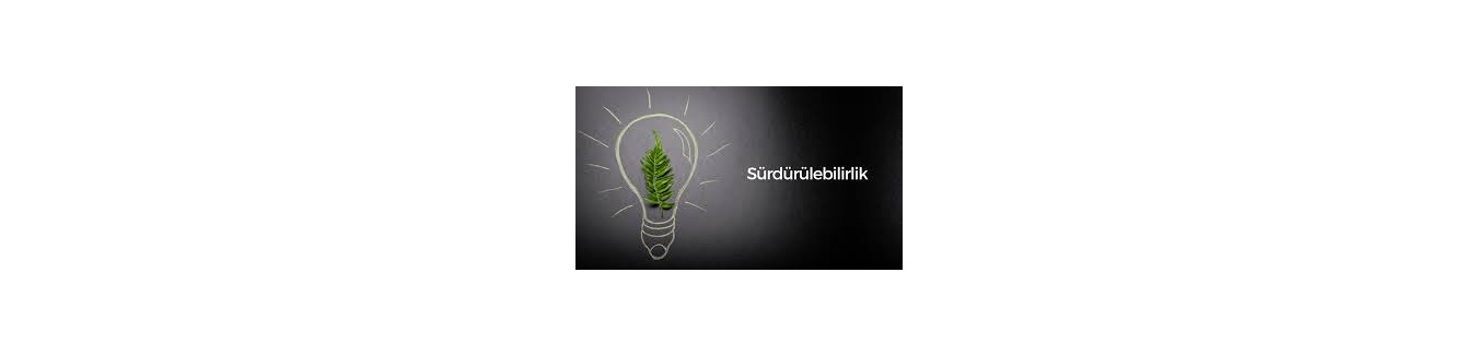 Firmalar Sürdürülebilir Tedariki Nasıl Sağlamalıdır? - Adımlar ve Stratejiler