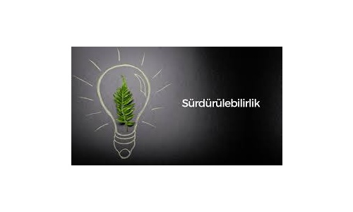 Firmalar Sürdürülebilir Tedariki Nasıl Sağlamalıdır? - Adımlar ve Stratejiler